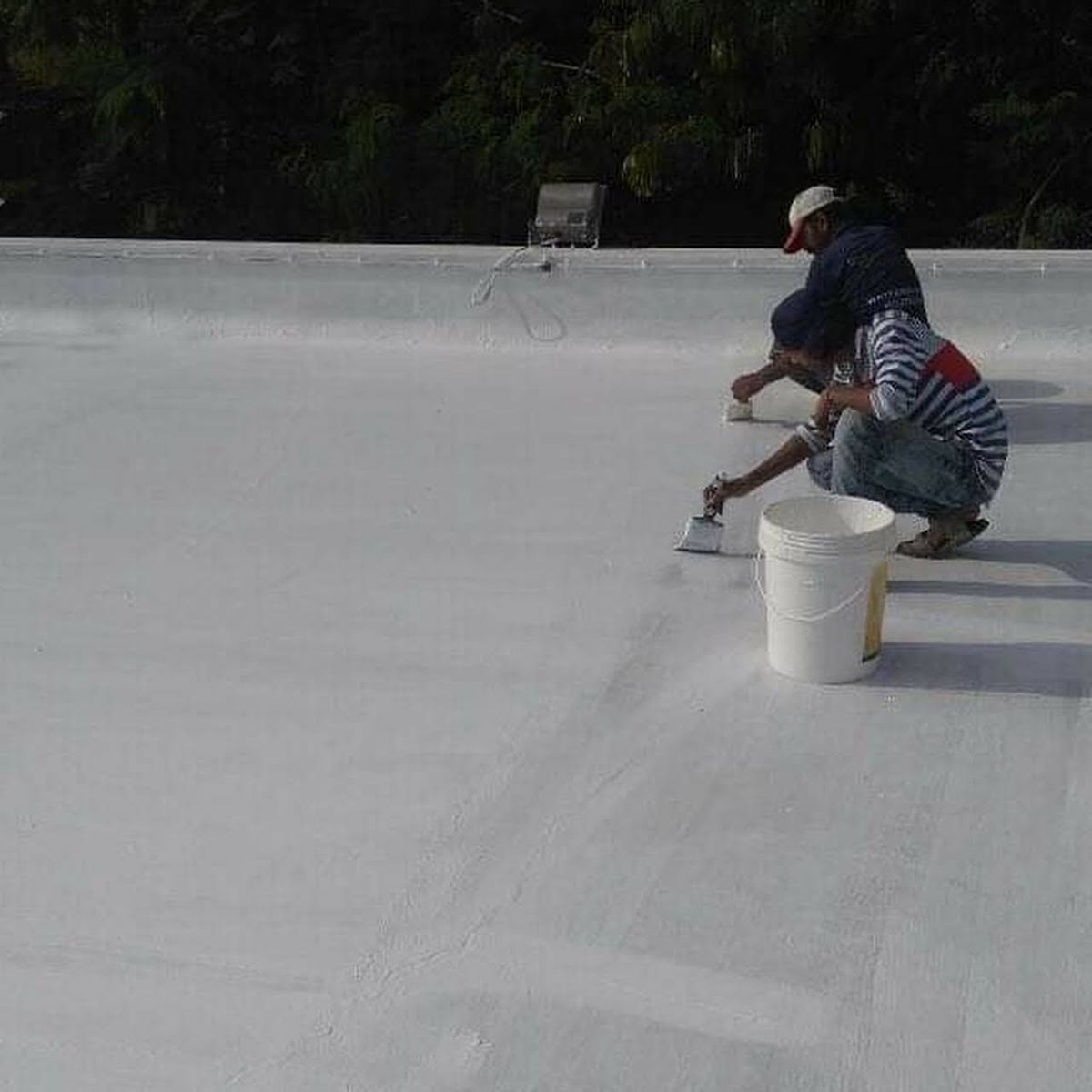 6e631d9007c2c67bb6e3176daecfcc5d